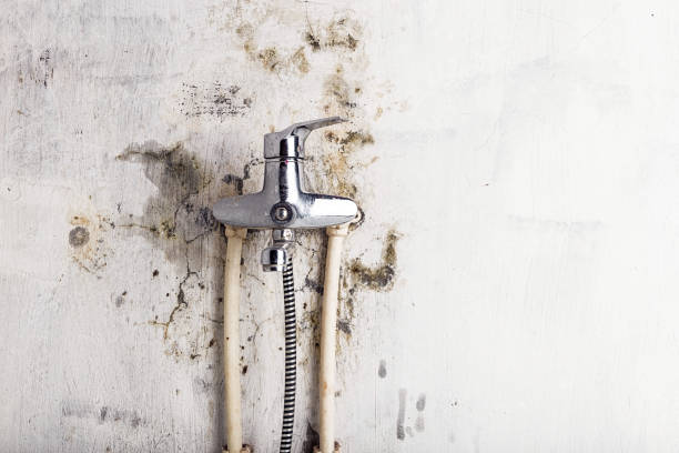 Best Water Damage Restoration  in Bayport, NY