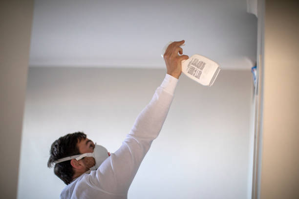 Attic Mold Removal in Bayport, NY